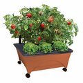 City Pickers Raised Bed Grow Box, Self Watering and Improved Aeration, Mobile Unit with Casters 2340